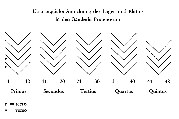Banderia Prutenorum lankų išdėstymas